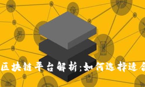 高质量的区块链平台解析：如何选择适合您的项目