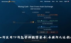 如何使用TP钱包管理数字货币：币圈阿凡达指南