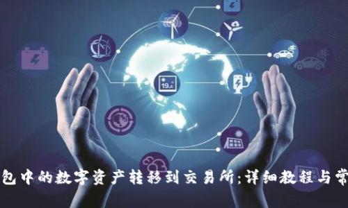 如何将TP钱包中的数字资产转移到交易所：详细教程与常见问题解答