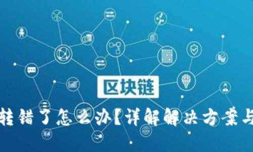 : TP钱包转错了怎么办？详解解决方案与操作指南