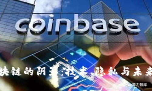 理解区块链的阴影：技术、隐私与未来的挑战