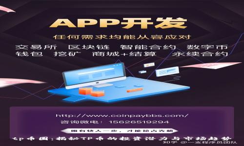 tp币圈：揭秘TP币的投资潜力与市场趋势
