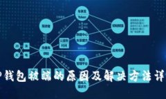 TP钱包被端的原因及解决方法详解