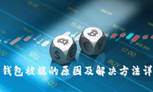 TP钱包被端的原因及解决方法详解