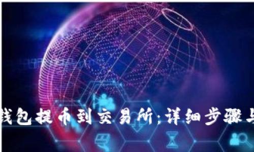 如何从TP钱包提币到交易所：详细步骤与注意事项