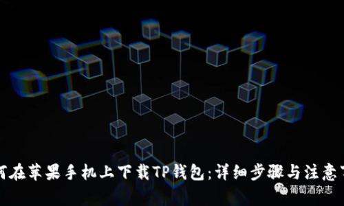 如何在苹果手机上下载TP钱包：详细步骤与注意事项