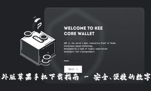 TP钱包海外版苹果手机下载指南 - 安全、便捷的数字资产管理