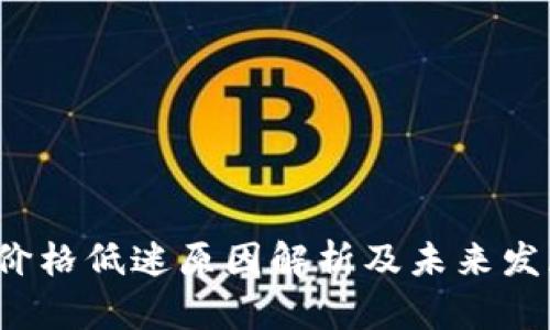 tpt币价格低迷原因解析及未来发展展望